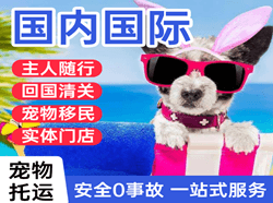 鸡西机场物流国际宠物托运 【国